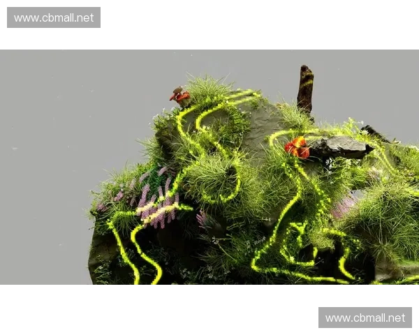 风暴英雄演员精彩表现解析与幕后故事揭秘